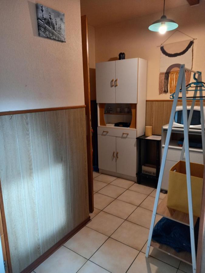 Les Appartements Du Lion De Belfort Bagian luar foto