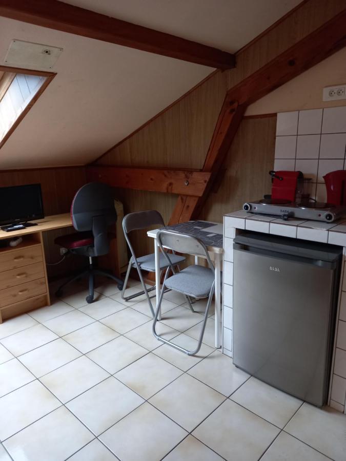 Les Appartements Du Lion De Belfort Bagian luar foto