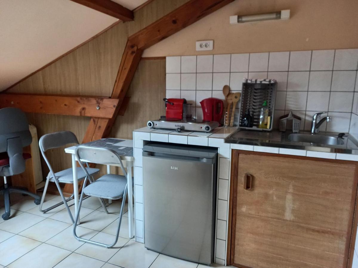 Les Appartements Du Lion De Belfort Bagian luar foto