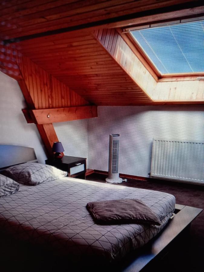 Les Appartements Du Lion De Belfort Bagian luar foto