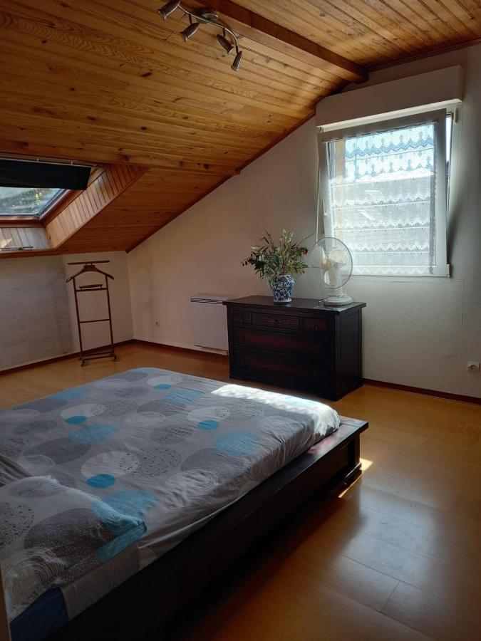 Les Appartements Du Lion De Belfort Bagian luar foto