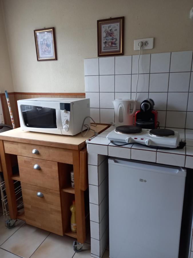 Les Appartements Du Lion De Belfort Bagian luar foto