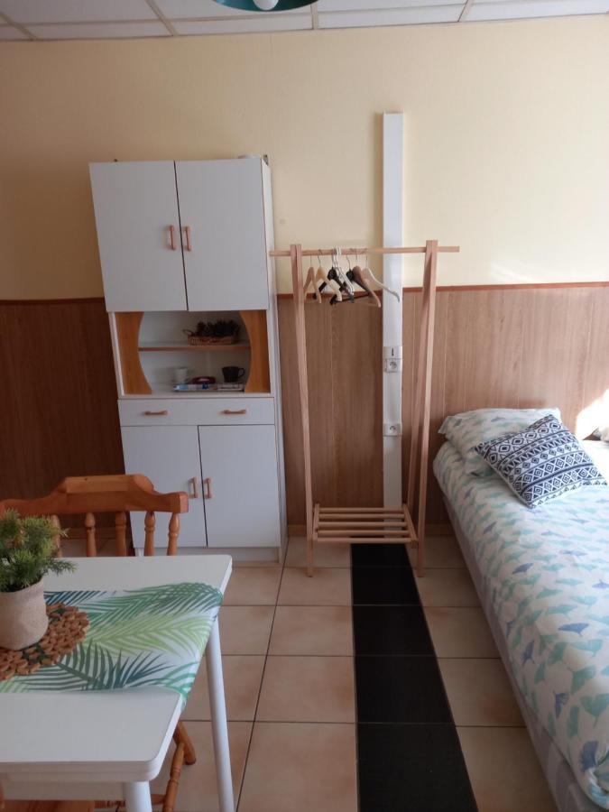 Les Appartements Du Lion De Belfort Bagian luar foto