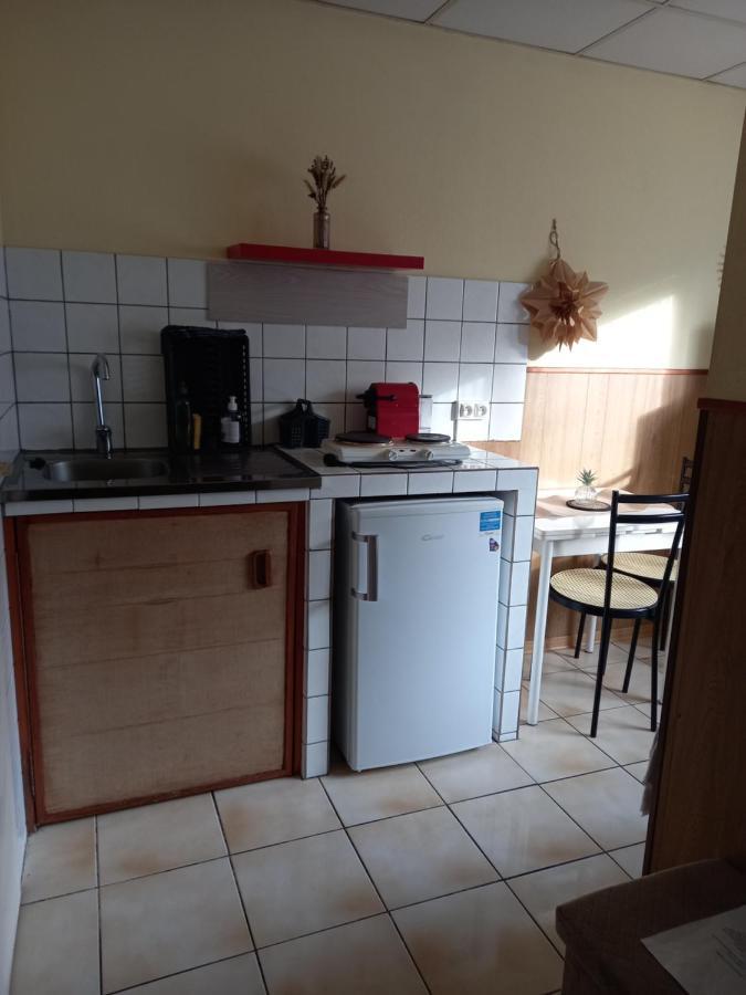 Les Appartements Du Lion De Belfort Bagian luar foto