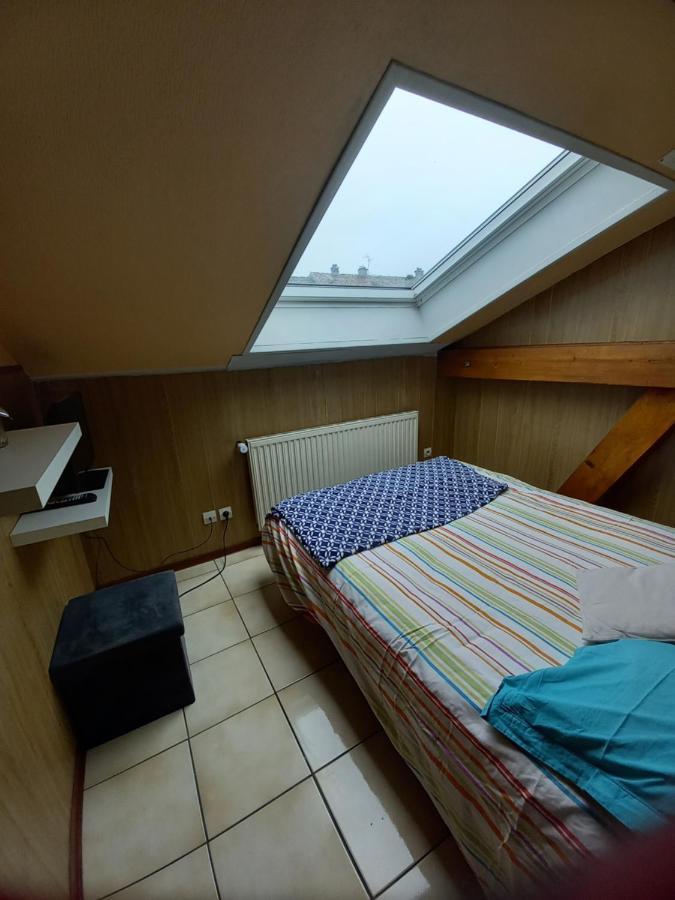 Les Appartements Du Lion De Belfort Bagian luar foto