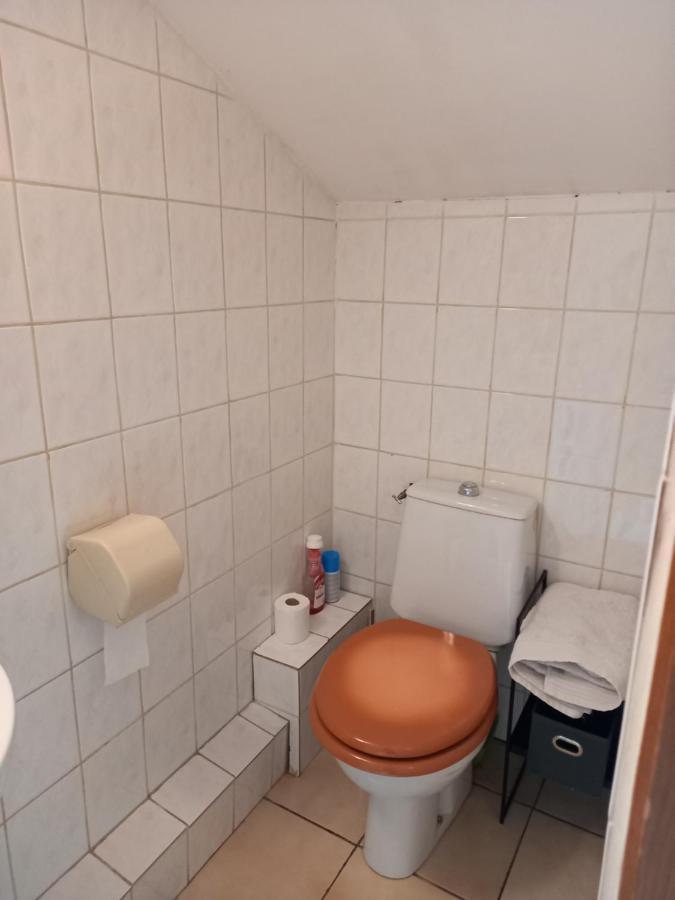 Les Appartements Du Lion De Belfort Bagian luar foto