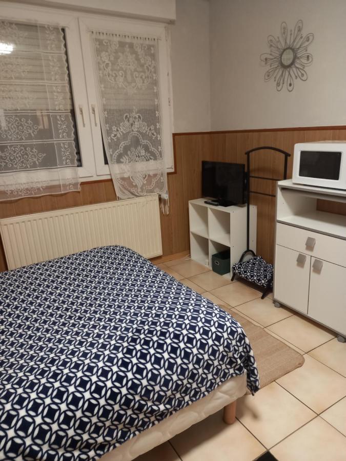 Les Appartements Du Lion De Belfort Bagian luar foto