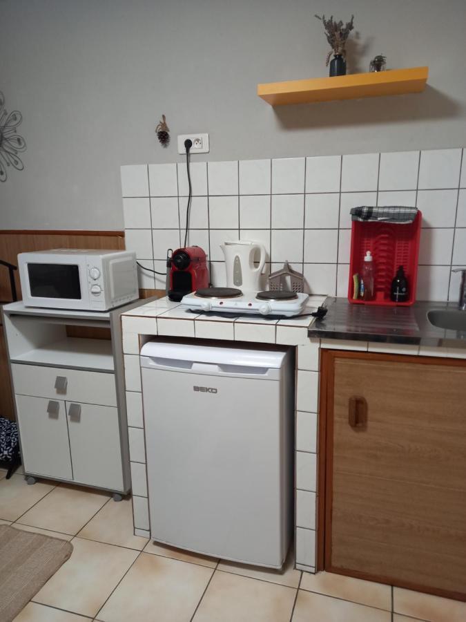 Les Appartements Du Lion De Belfort Bagian luar foto