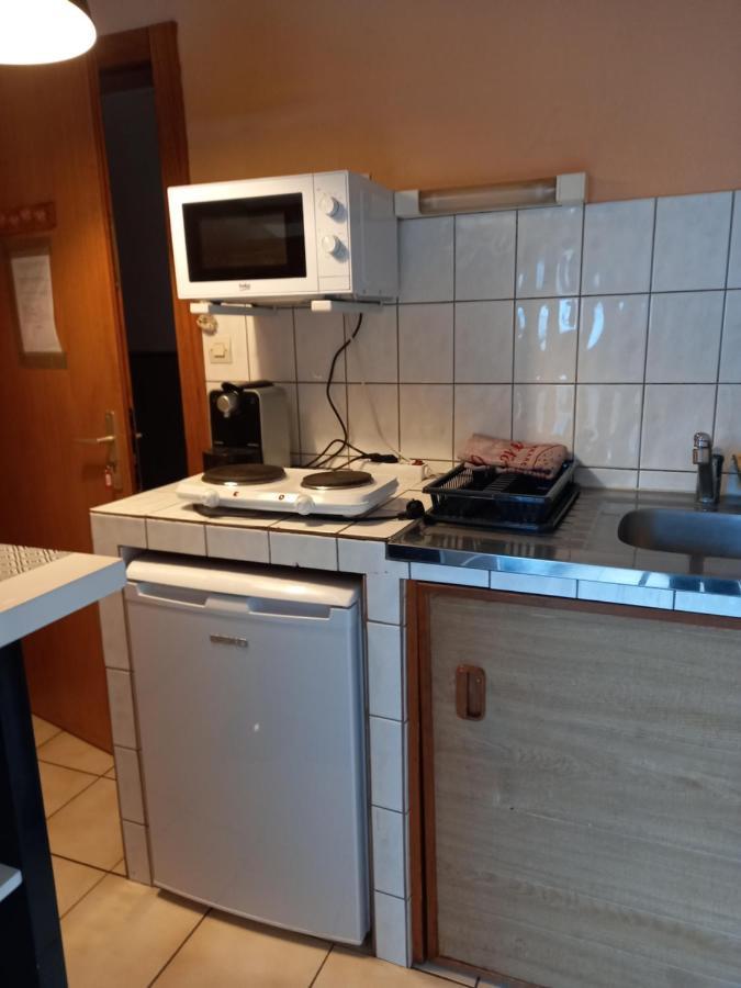 Les Appartements Du Lion De Belfort Bagian luar foto