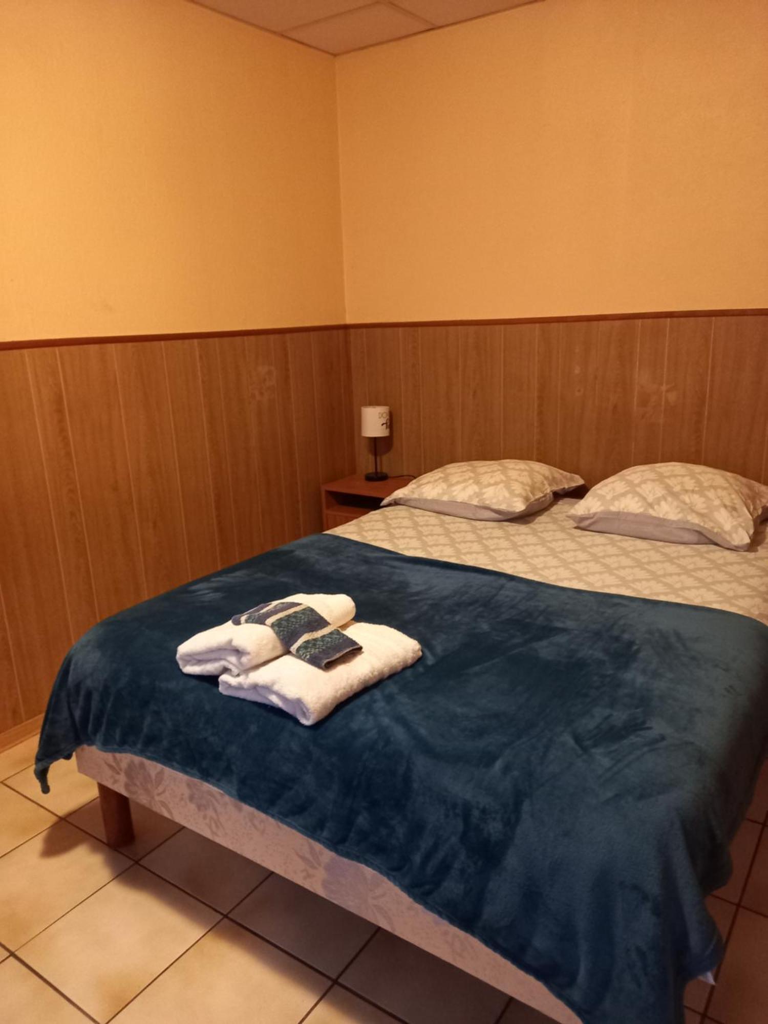 Les Appartements Du Lion De Belfort Bagian luar foto
